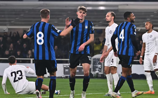 团队谨慎审 团队谨慎审