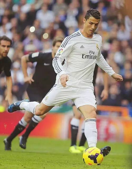 观众的支持 观众的支持