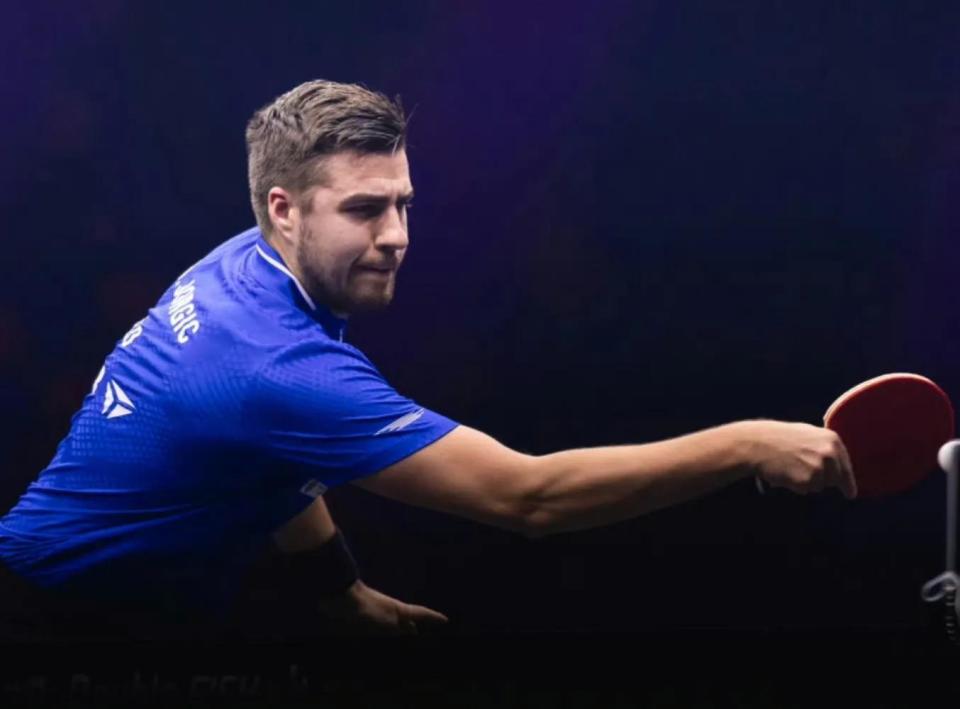 他们展现了 他们展现了