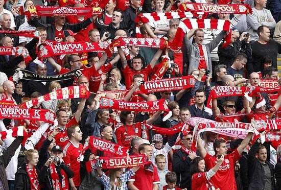 这类组织型 这类组织型