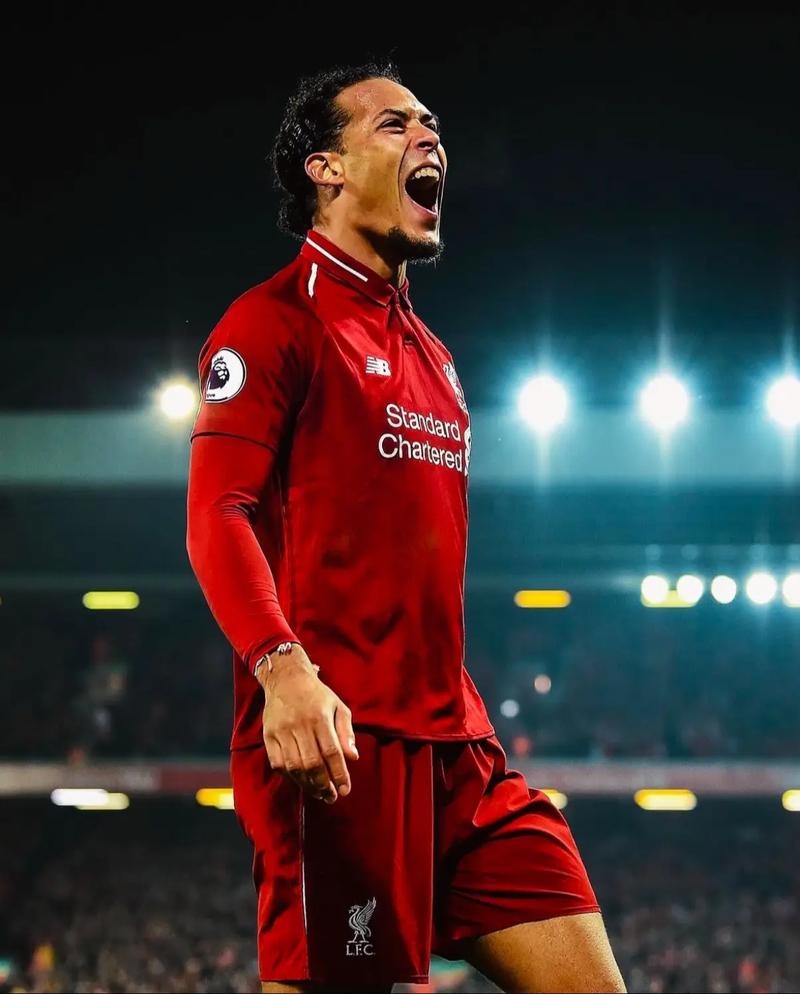 核心观点 核心观点