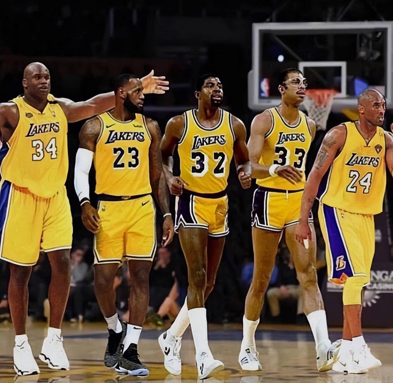 的观赛指南 的观赛指南